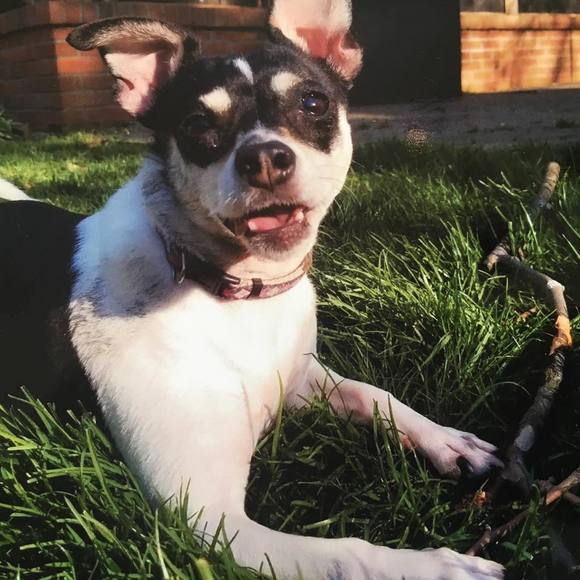 Meet your Posher, Theresa - Picture 1 of 1